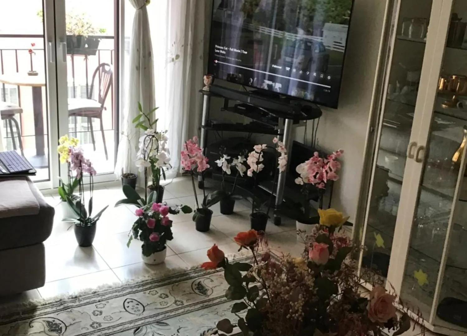Nice Port Quartier Antiquaire Homestay